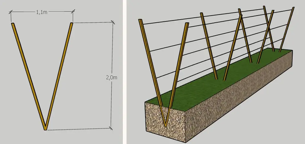 Дво-площинна шпалера V - типу