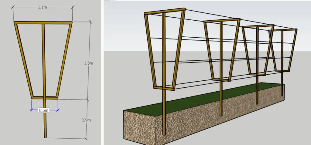 Дво-площинна шпалера Y - типу