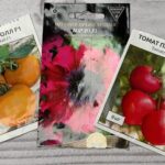 Чи варто купувати насіння F1, плюси і мінуси