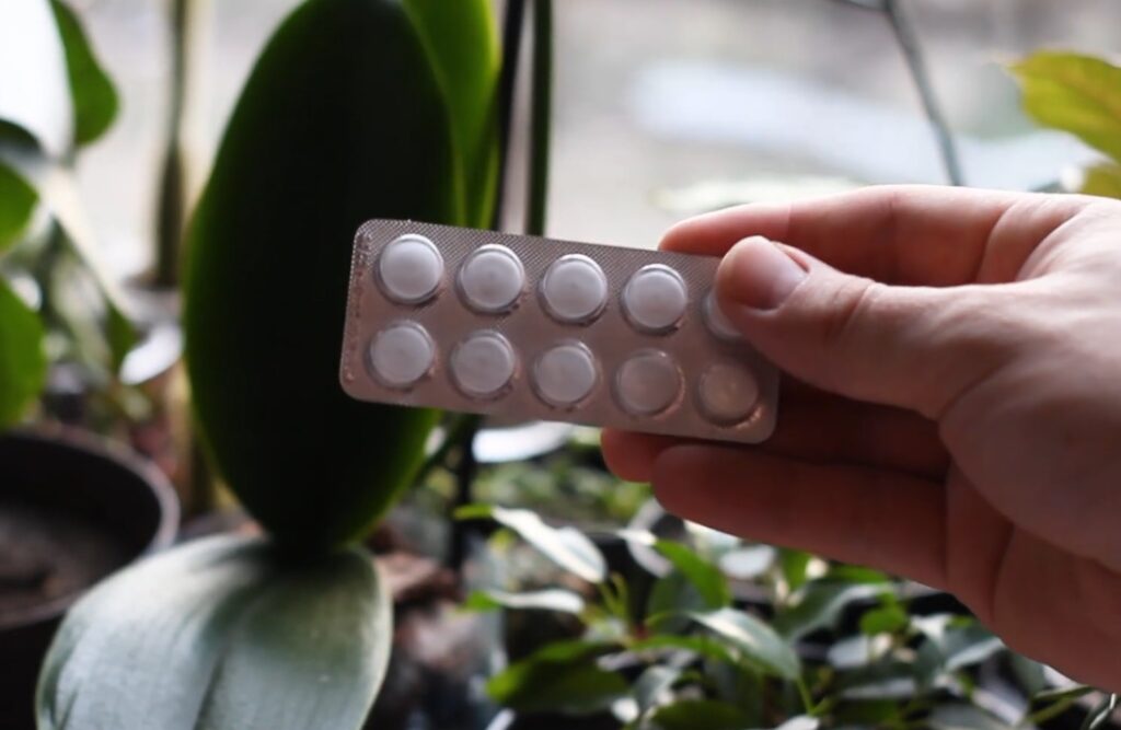 Аспірин для кімнатних рослин